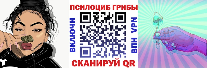 Псилоцибиновые грибы Cubensis где купить Елизаветинская